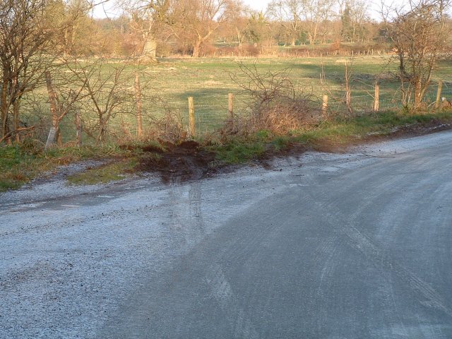 Click to see next picture